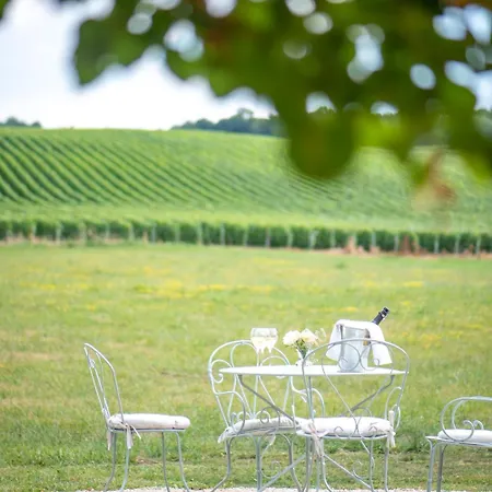 L' Ecrin Des Vignes Sermiers