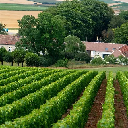 לינה וארוחת בוקר L' Ecrin Des Vignes Sermiers
